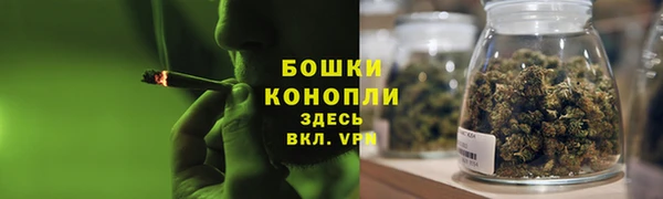 ГАЛЛЮЦИНОГЕННЫЕ ГРИБЫ Нефтекумск
