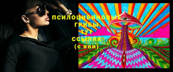 индика Нефтегорск