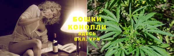 ГАЛЛЮЦИНОГЕННЫЕ ГРИБЫ Нефтекумск