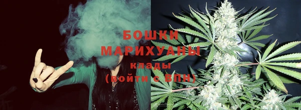 индика Нефтегорск