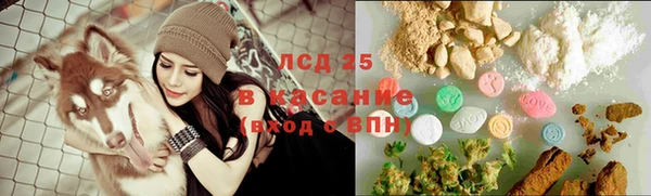 индика Нефтегорск