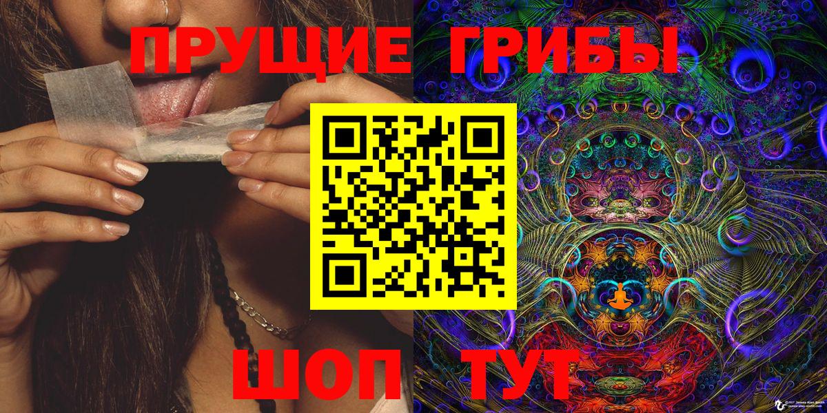 Галлюциногенные грибы Cubensis Саки