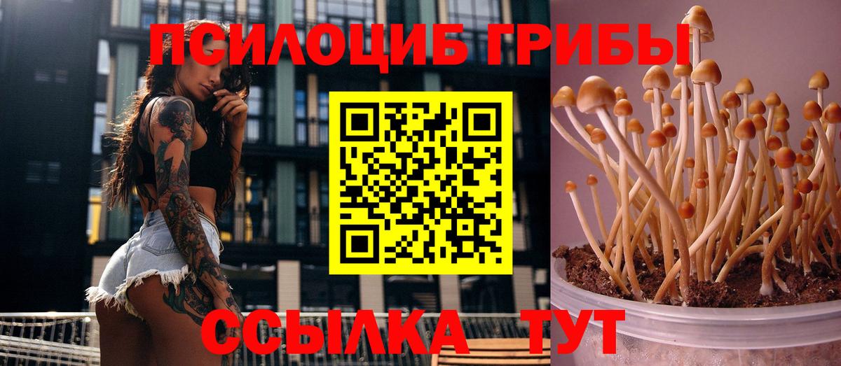 Псилоцибиновые грибы MAGIC MUSHROOMS  Вход с VPN  Саки 