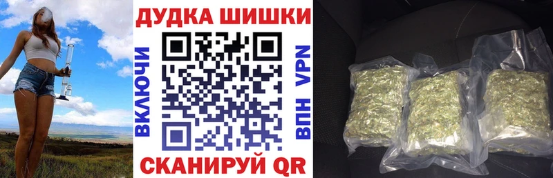 Бошки Шишки ГИДРОПОН  купить  цена  Саки 